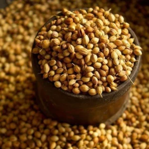 Coriander Seeds
