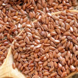 Flax Seeds